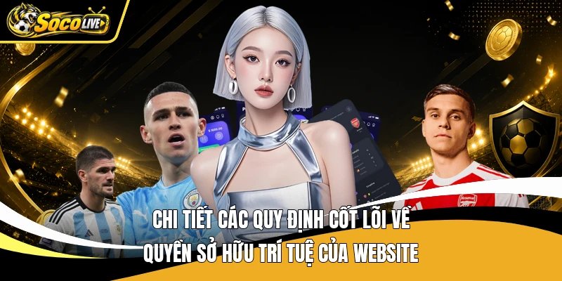 Chi tiết các quy định cốt lõi về quyền sở hữu trí tuệ của website