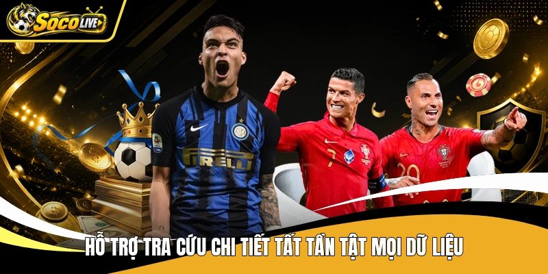 Hỗ trợ tra cứu chi tiết tất tần tật mọi dữ liệu