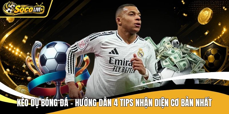 Kèo Dụ Bóng Đá - Hướng Dẫn 4 Tips Nhận Diện Cơ Bản Nhất