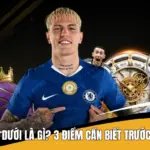 Kèo Trên Kèo Dưới Là Gì? 3 Điểm Cần Biết Trước Khi Theo Dõi