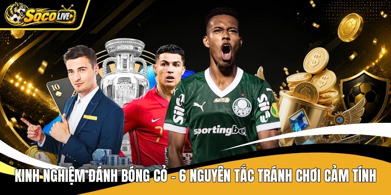 Kinh Nghiệm Đánh Bóng Cỏ - 6 Nguyên Tắc Tránh Chơi Cảm Tính