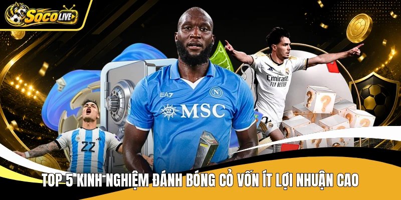Top 5 kinh nghiệm đánh bóng cỏ vốn ít lợi nhuận cao
