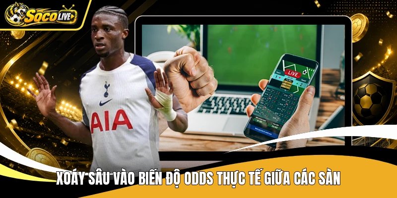 Xoáy sâu vào biến độ odds thực tế giữa các sàn